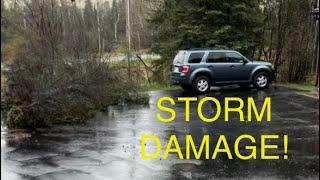 Spring Storms | Storm Damage at Aspen Ridge | Popple People-Episode 101