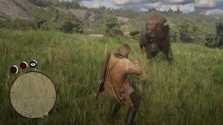 Hunting BISON With LASSO!! Red Dead Redemption 2 Gameplay