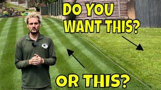 A 4 STEP  Lawn Maintenance Plan/ Where you are GOING WRONG with Watering