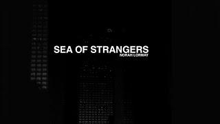 Norah Lorway - Sea of Strangers - Full Album