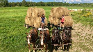 MY DAUGHTERS HELP WITH HAULING BALES // Farming With Draft Horses