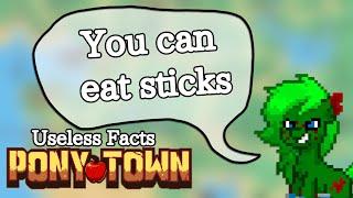 Useless PonyTown Facts