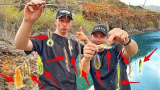 30 MINUTEN-CHALLENGE! Fange auf ALLE KÖDER einen Fisch