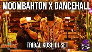 Tribal Kush X Basshall Mix - 2021 Best Moombahton, Shatta & Dancehall Live Set