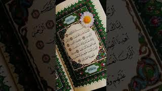 Lv Surah-AL-FATIHA with translation by Egzon-Ibrahimi #surahfatiha #quranrecitation #qurantilawat