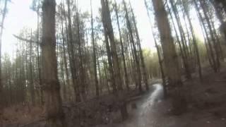 Cannock Chase Forest Commission (Follow the Dog 3 of 3)