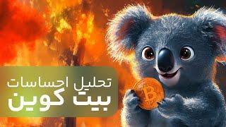  فرصت خرید یا شروع سقوط بیت کوین 