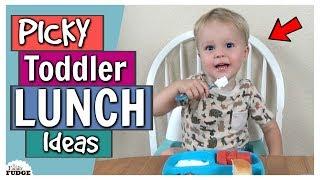 Picky Toddler Lunch Ideas | Bunches Of Lunches