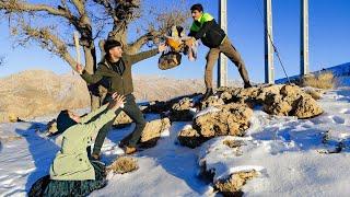 Maryam and Omid's trip to see Yalda in minus 40 degree temperature in the mountains️️