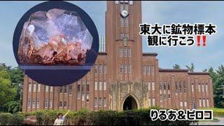 [特別展示] 東大に鉱物標本観に行こう！！