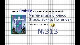 Задание №313 - Математика 6 класс (Никольский С.М., Потапов М.К.)