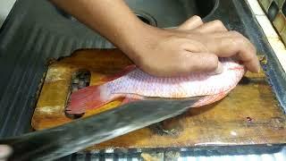 cara filet ikan nila yg mudah!!!