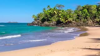 Waves of Paradise - Beautiful Beach with Relaxing Ocean Sounds without Music