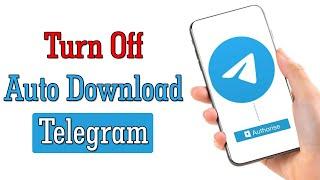 How to Disable Auto Media Downloads on Telegram?