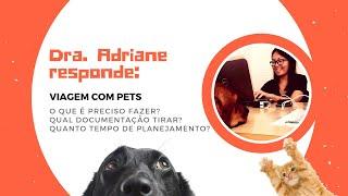 Vai viajar com seu cachorro para o exterior? Saiba o que precisa ser feito antes a viagem!