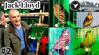 Jack Lloyd: Linnets, Line Breeding, Hybrids and Exhibition PART 2 | Natives & Norwich Zoom Room |