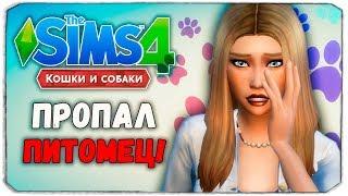 100 ПИТОМЦЕВ - ПРОПАЛ ПИТОМЕЦ! - The Sims 4 "Кошки и Собаки" ЧЕЛЛЕНДЖ