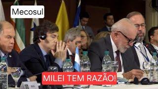 Reações de MILEI durante discurso de LULA, roubam a cena e vira meme mundial.