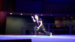 Chinese Wushu Association Demo in the United Nations building #9 Xingyi Quan