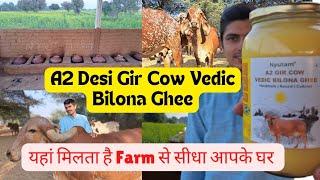 A2 Gir Cow Bilona Ghee || Buy A2 Desi Gir Cow Bilona Ghee, Pure Desi Ghee || Nyutam Farm Ghee
