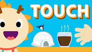 TOUCH  | Five Senses Song | Wormhole Learning - Songs For Kids