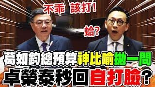 總預算覆議案質詢交鋒! 葛如鈞"神比喻"拋一問 卓榮泰秒回"自打臉"?