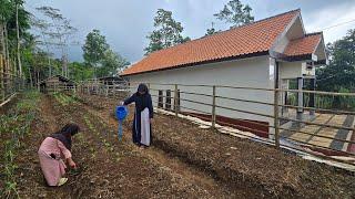 HARI KE 24 DI RUMAH BARU KEYLA & MARWAH, KAMBINGNYA KEYLA & MARWAH AKAN DIPINDAHKAN KE KANDANG BARU