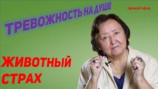 Как убрать непонятный страх