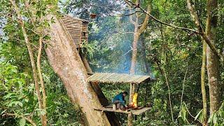 4 Months of camping, survival in the forest, building a shelter in a giant tree