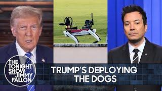 President Trump Deploys Robot Dogs to Protect Him at Mar-a-Lago, Names Susie Wiles as Chief of Staff