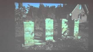 Пчеловодство в странах экваториальной Африки  Выступление Смирнова Н Н Beekeeping in the countries o