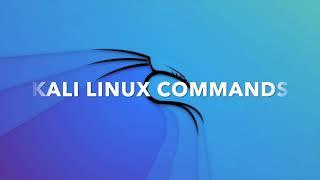 kali linux basic commands 2023