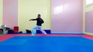 Antalya Karate Kursu ( Mets Karate ) Sensei Yunus Demir - Kata Heian Shodan