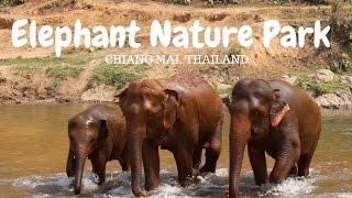 Elephant Nature Park // Chiang Mai, Thailand