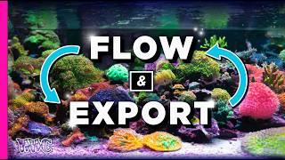 Optimizing Aquarium Flow and Waste Export: A Complete Guide