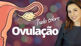 O que é Ovulação e Período Fértil