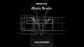 Trippin Fox - Main Brain (Original Mix)