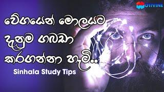 How To Download Facts To The Brain Fast - Sinhala Study Tips