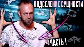 Астральные сущности #1: Что такое лярвы? Как выглядят? Какие бывают? Подселение сущности