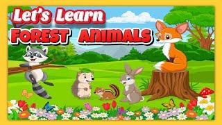 Forest Animals Names: Discover the Wildlife of the Woods with Educational Learning for Kids