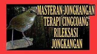 Masteran Jongkangan Gacor jernih - terapi jongkangn - suara jongkangn ,suara alami (cingcoang)