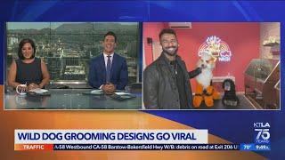 Dog groomer Gabriel Feitosa's wild styles go viral