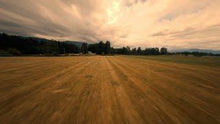 Field of dreams: Smooth, relaxing fpv flight over a corn field.