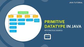 Data Type in Java | Primitive Data Type  with Practical Examples | Java Tutorial | TechnonTechTV