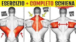 l'ESERCIZIO + COMPLETO per Allenare TUTTI i MUSCOLI della SCHIENA