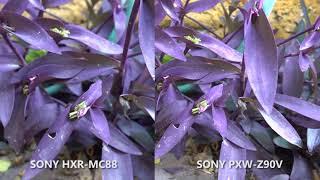 SONY HXR MC88 vs SONY PXW Z90V