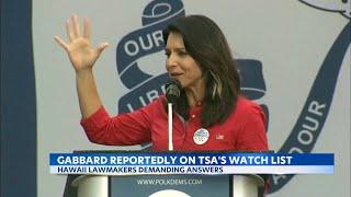 Hawaii lawmakers demand TSA explanation for Tulsi Gabbard's inclusion on terrorist watchlist