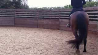 First canter on unrideable horse in to defuse bucking.
