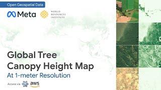 Open data: 1-meter resolution Global Tree Canopy Height Model (Download via GEE & AWS CLI)