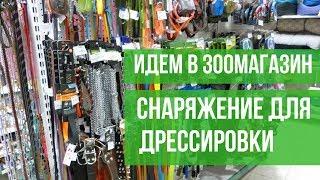 Идем в зоомагазин. Выбираем снаряжение для дрессировки